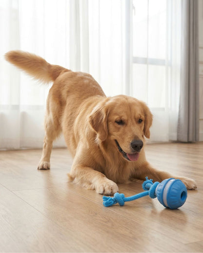 Smart Bouncing Toy Ball